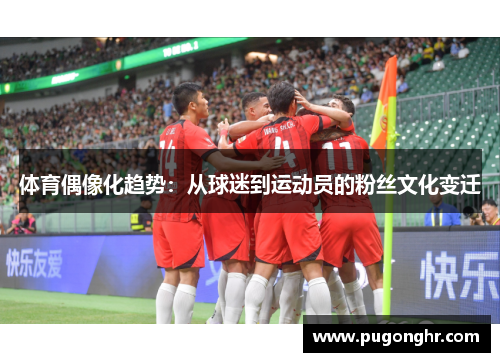 体育偶像化趋势：从球迷到运动员的粉丝文化变迁