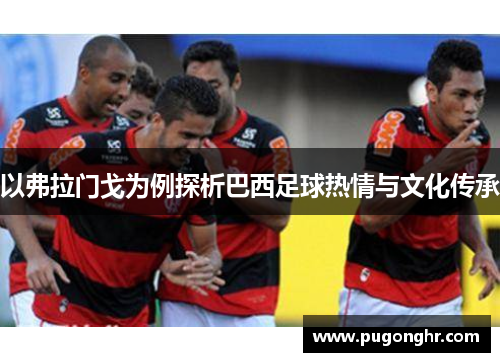 以弗拉门戈为例探析巴西足球热情与文化传承