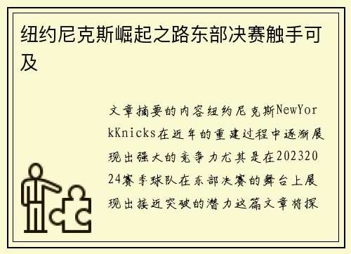 纽约尼克斯崛起之路东部决赛触手可及