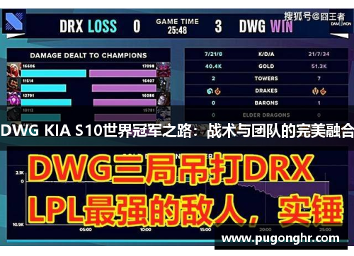 DWG KIA S10世界冠军之路：战术与团队的完美融合